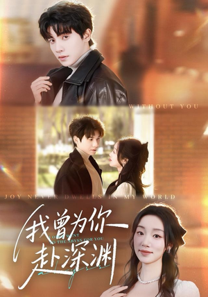 我曾为你赴深渊（63集）全集短剧免费上线观看