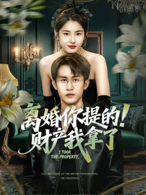 离婚你提的！财产我拿了（63集）短剧精彩不容错过