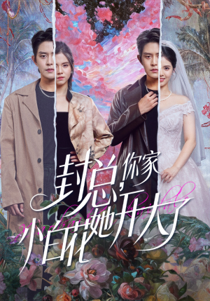 大佬你的牙粘口红了（60集）短剧完结篇全集连播