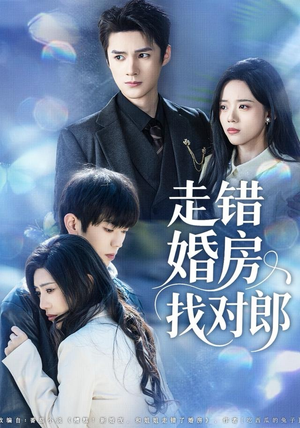 走错婚房找对郎（50集） 热门短剧推荐给你