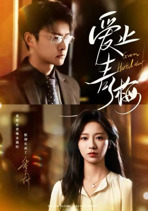 爱止青梅（60集） 独家短剧资源免费看