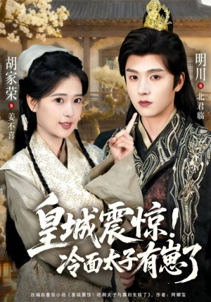 皇城震惊冷面太子有崽了（105集）免费观看最新短剧全集