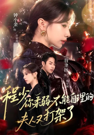 程少你柔弱不能自理的夫人又打架了（60集）热门短剧推荐推荐