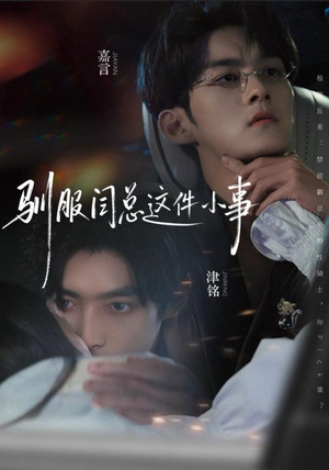 驯服闫总这件小事（58集）零花钱看整部短剧的网站