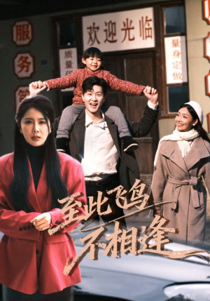 至此飞鸟不相逢（70集）免费短剧观看爽翻天