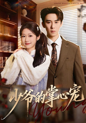 少爷的掌心宠（80集）精彩短剧又来了
