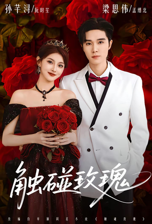 触碰玫瑰（80集）精彩短剧免费看