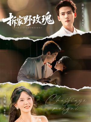 拆家野玫瑰（80集）短剧完整版大结局