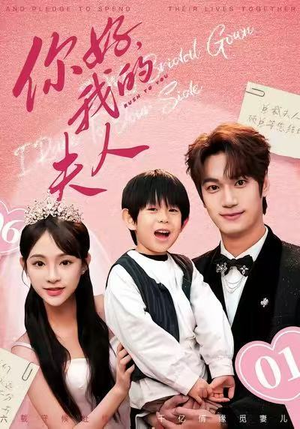 顾总，我才是你的夫人（65集）红果天天免费看短剧