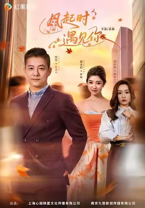 风起时遇见你（59集）全网最火催泪短剧