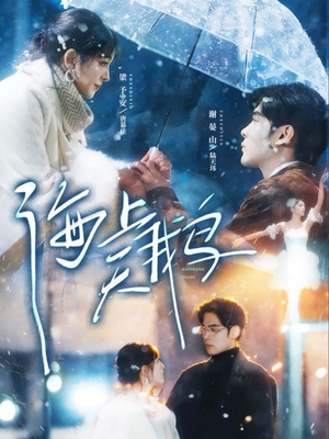 海上天鹅（70集）好看的国产短剧