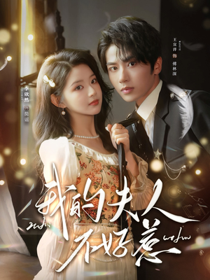 我的夫人不好惹（60集）在线即可畅享全集短剧