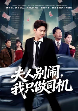 夫人别闹我只做司机（80集）短剧来袭好看又上头的短剧