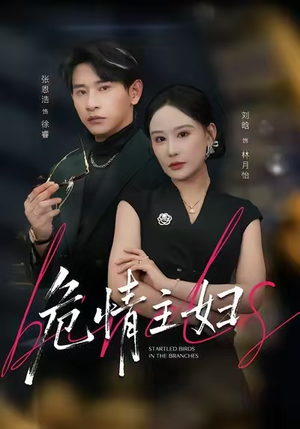 危情主妇（60集）短剧大结局一气呵成