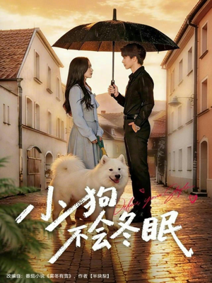 小狗不会冬眠（70集）免费观看热门短剧全集