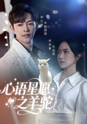 心语星愿之羊驼（60集）花生短剧热门短剧