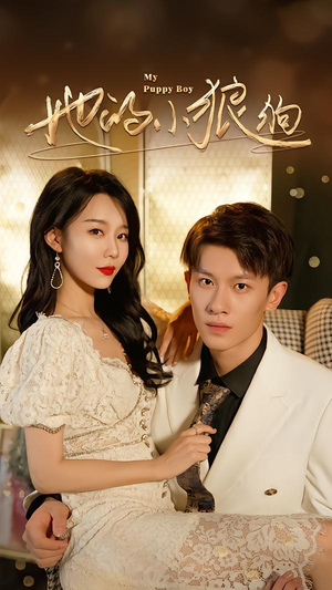 灿烂的风（60集）每天热门短剧推荐