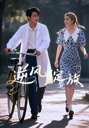 逆风绽放（55集）在线看到短剧大结局