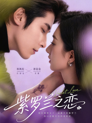 紫罗兰之恋（82集）好看又上头的短剧太解气了