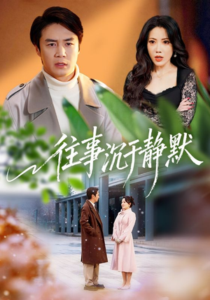 往事沉于静默（70集）热门短剧推荐短剧片段