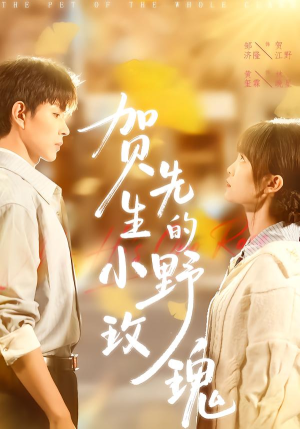 贺先生的小野玫瑰（99集）全集免费观看的短剧资源