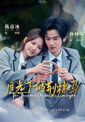 月光下的荆棘鸟（80集）短剧收官全集限免看