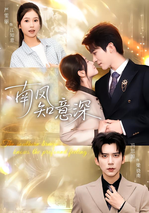 南风知意深（40集）红果免费短剧app免费看全集