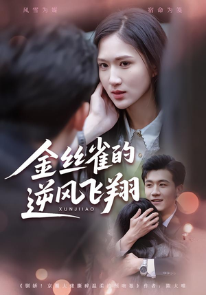 金丝雀的逆风飞翔（80集） 甜宠短剧追到爽