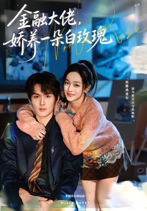 金融大佬，娇养一朵白玫瑰（70集）精彩短剧天天看