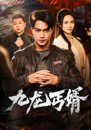 九龙丐婿（81集）精彩短剧在线观看