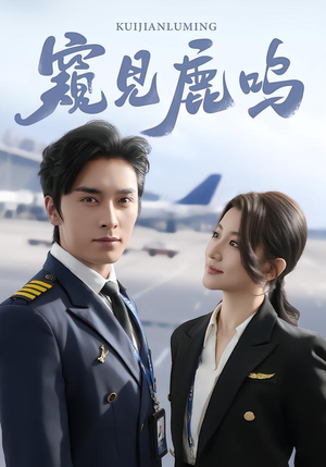 窥见鹿鸣（60集）短剧抢先看精彩无限量