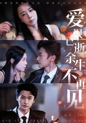 爱恨已逝，余生不再见（68集）短剧在哪个平台播放