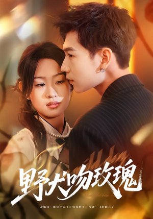 野犬吻玫瑰（70集）全集免费观看西瓜短剧