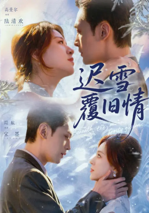迟雪覆旧情（62集）热门火爆短剧推荐
