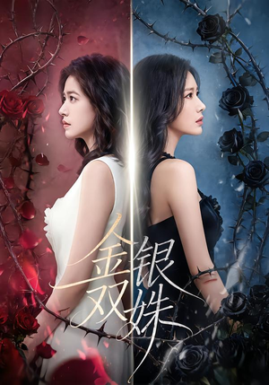 金银双姝（80集）精彩短剧免费看