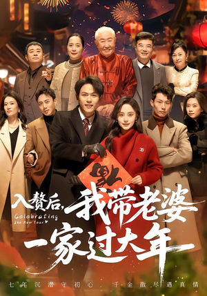 入赘后，我带老婆一家过大年（60集）精彩免费短剧观看全集