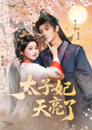 太子妃天亮了（80集）热门短剧排行榜