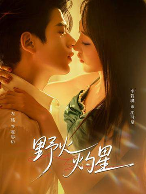 野火灼星（56集）每天更新最火短剧