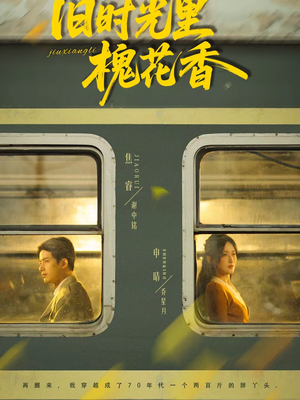 旧时光里槐花香（70集）短剧全集高清完整版