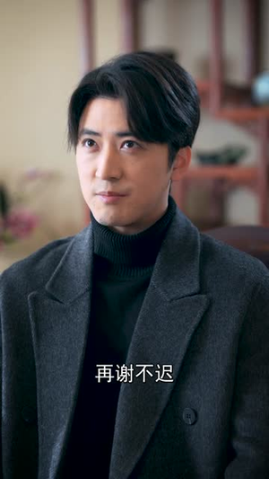 全职老公（60集）短剧最终回限免畅看