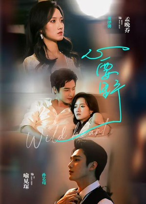 心要野（62集）短剧大结局限免特辑