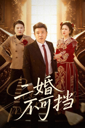 二婚不可挡（36集）整部短剧免费看个够