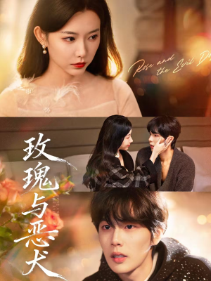 玫瑰与恶犬（80集）好看又上头的短剧