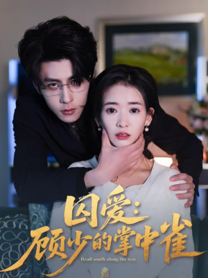 囚爱：顾少的掌中雀（70集）短剧在哪个平台看好