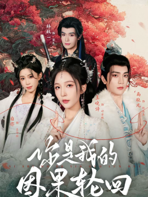 你是我的因果轮回（100集）热播短剧持续更新