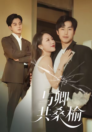 与卿共桑榆（63集）热门情感家庭短剧