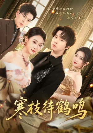 寒枝待鹤鸣（70集）最火短剧热播中意想不到的结局