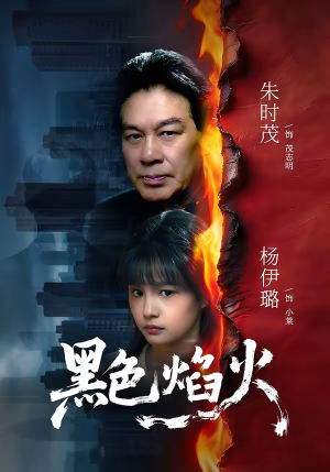 黑色焰火（41集）超精彩热门短剧推荐