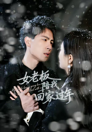 女老板陪我回家过年（40集）最热短剧抢先看