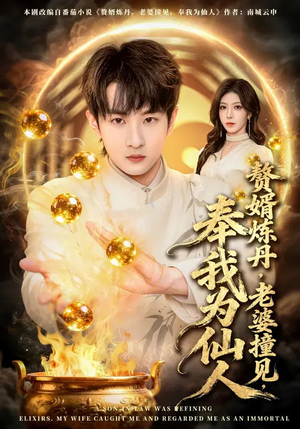 赘婿炼丹，老婆撞见，奉我为仙人（59集）精彩的网络短剧